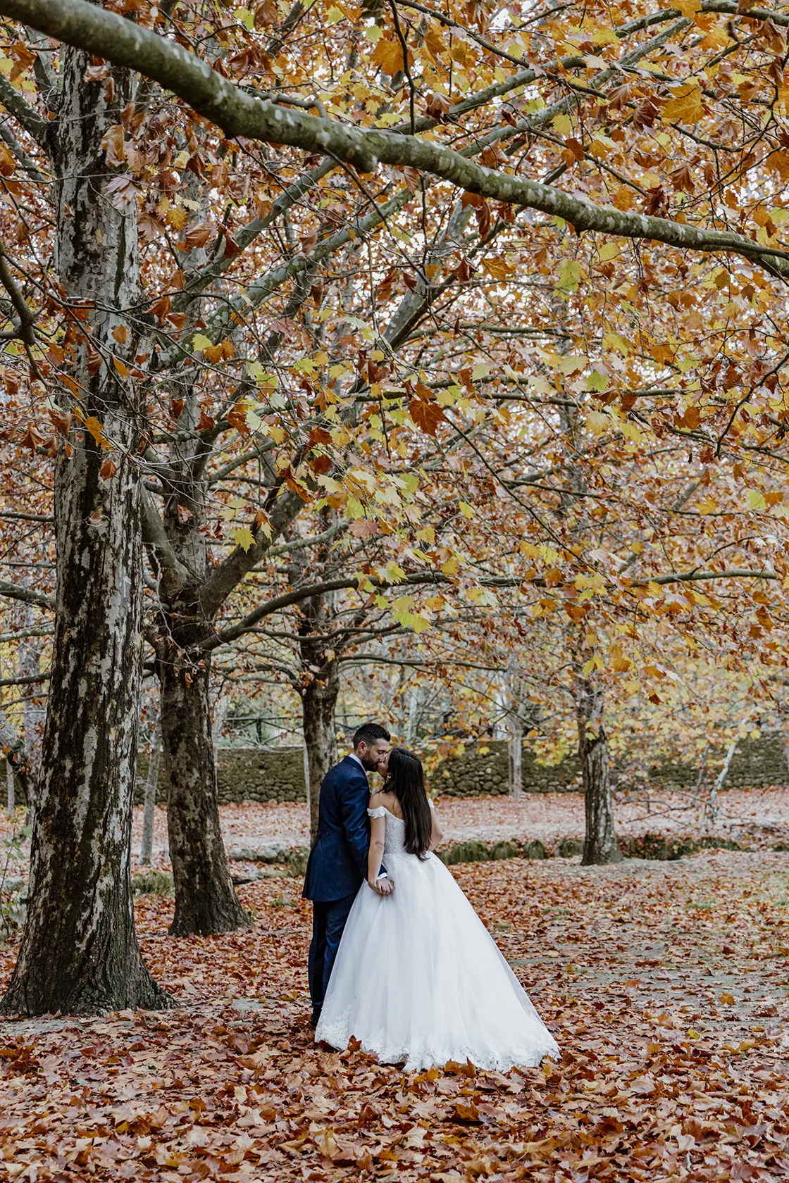 Descubre Postboda Virginia y Pablo 140 Mejor Postboda Virginia y Pablo 140